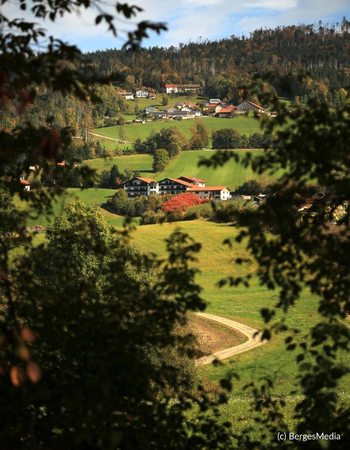 Appartement Hauzenberg-Panorama Exteriör bild